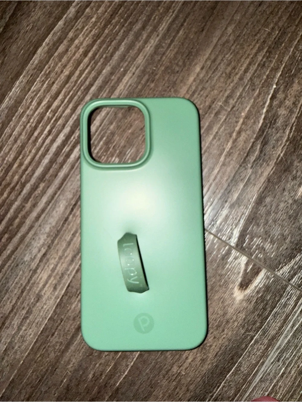 Loopy iPhone 16 pro max Mint Green Phone Case with Integrated Kickstand
